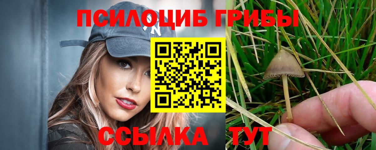Псилоцибиновые грибы MAGIC MUSHROOMS  Вход с VPN  Избербаш 